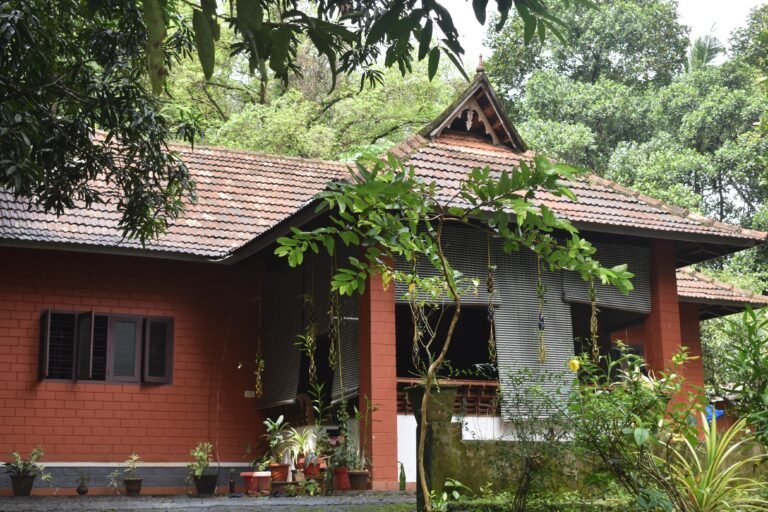 WhatsApp Image 2025-05-23 at 11.53.48 AM (1)